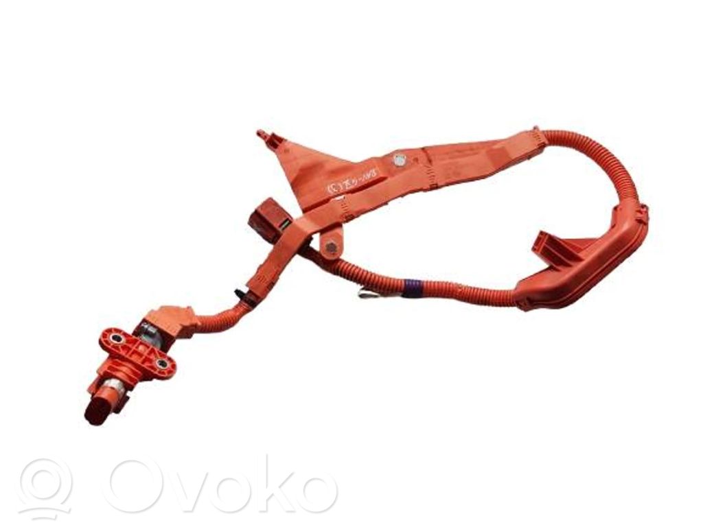 Toyota RAV 4 (XA50) Otros cableados 