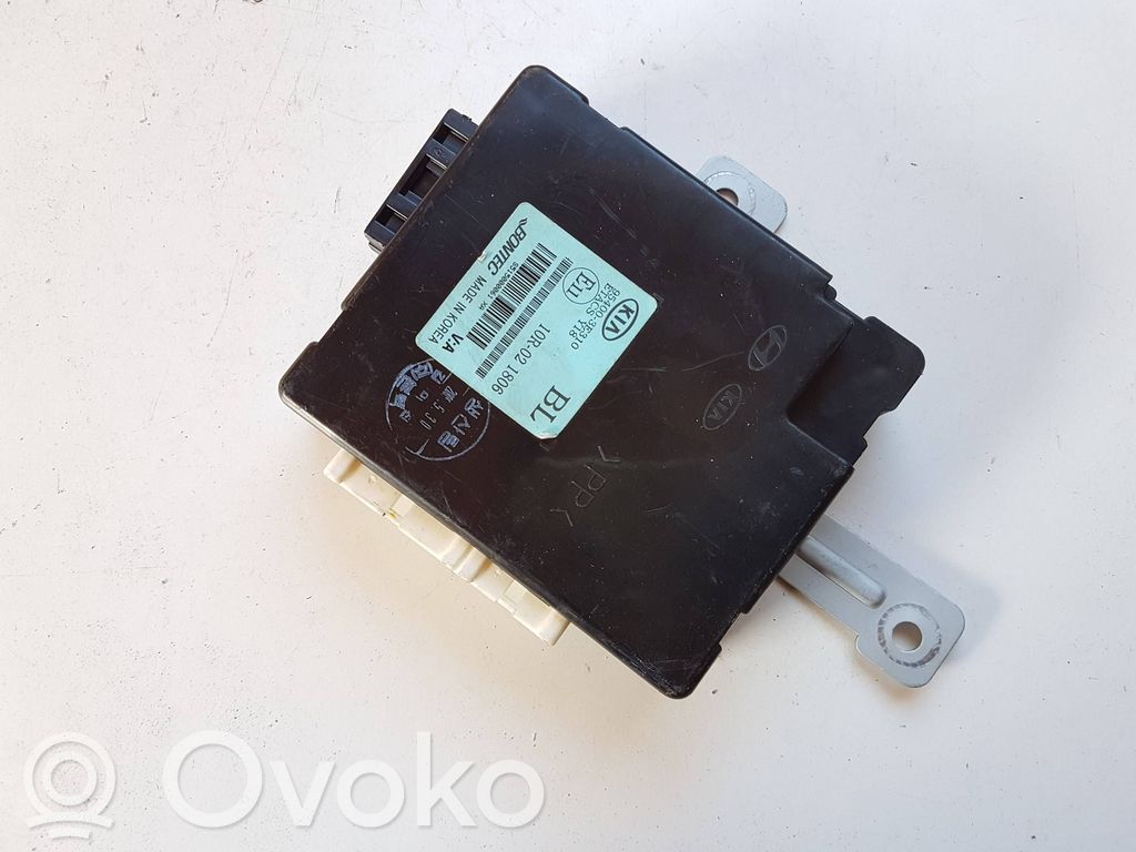 Autres unités de commande / modules   954003E310