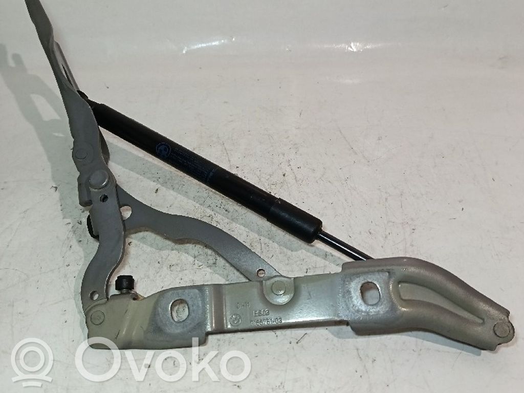 Engine bonnet/hood hinges   716675103
