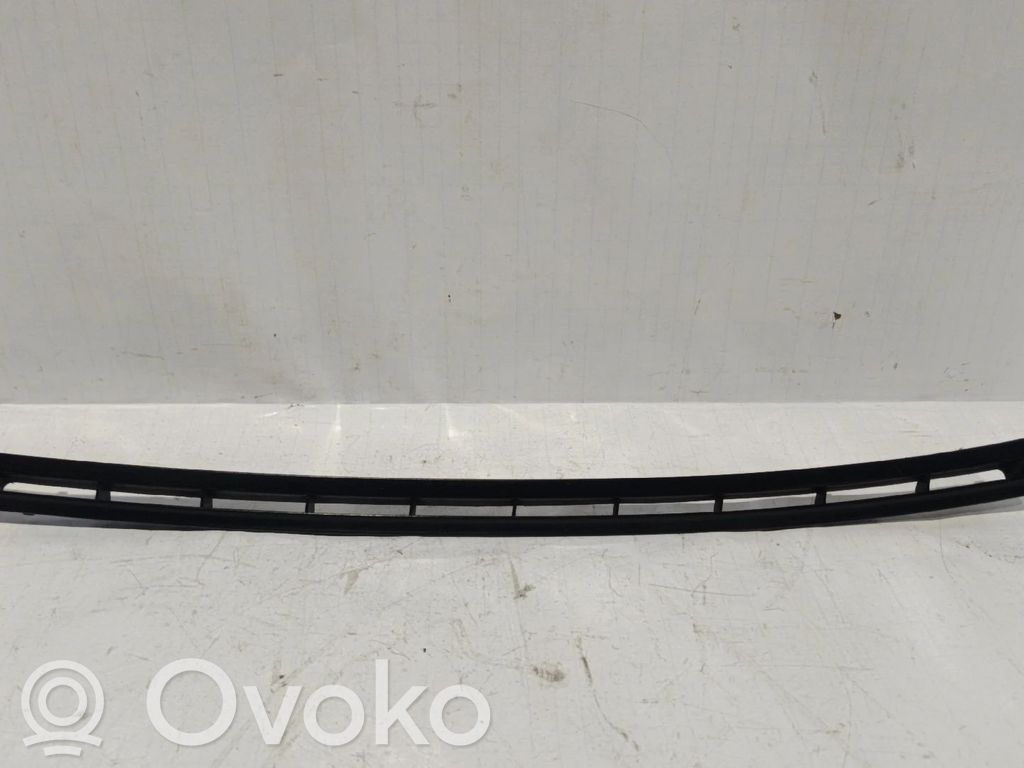Dashboard trim   1977223