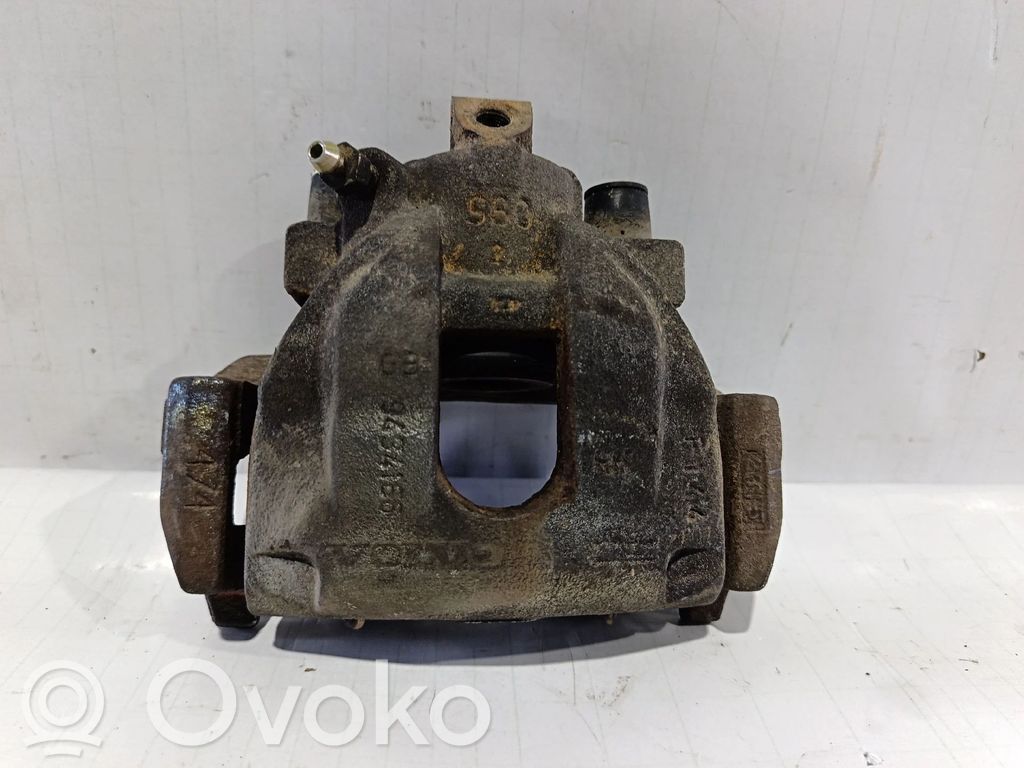 Takajarrusatula   9434166