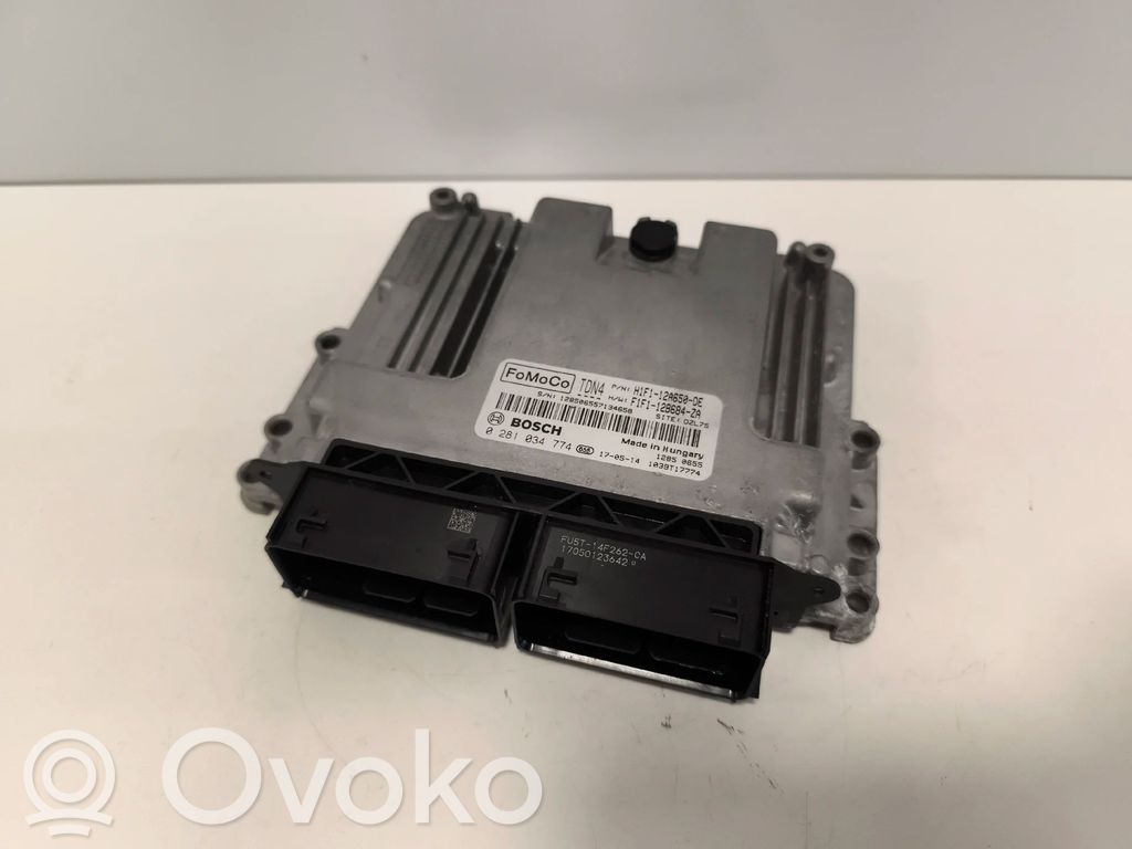 Engine control unit/module   H1F112A650DE,0281034774,F1F112B684ZA