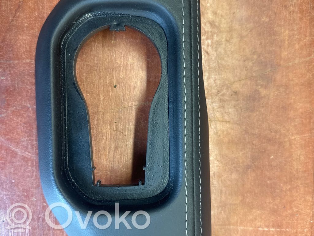 Dodge RAM Panel trim 