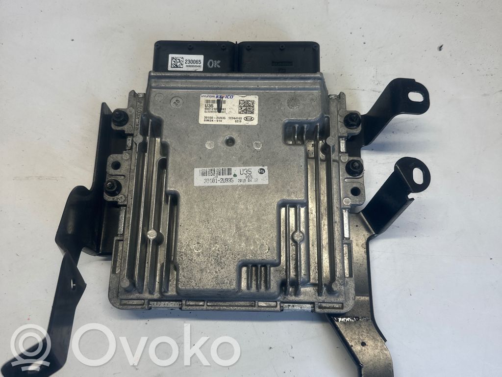 KIA Sportage Engine control unit/module 