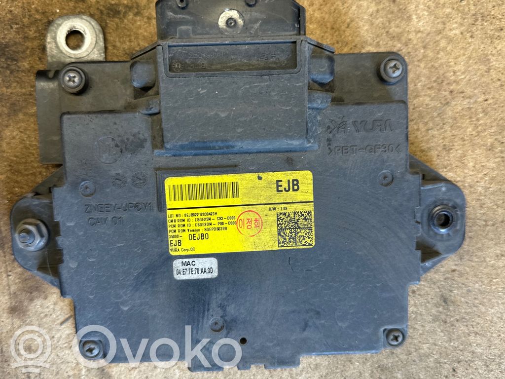 KIA Niro Other control units/modules 