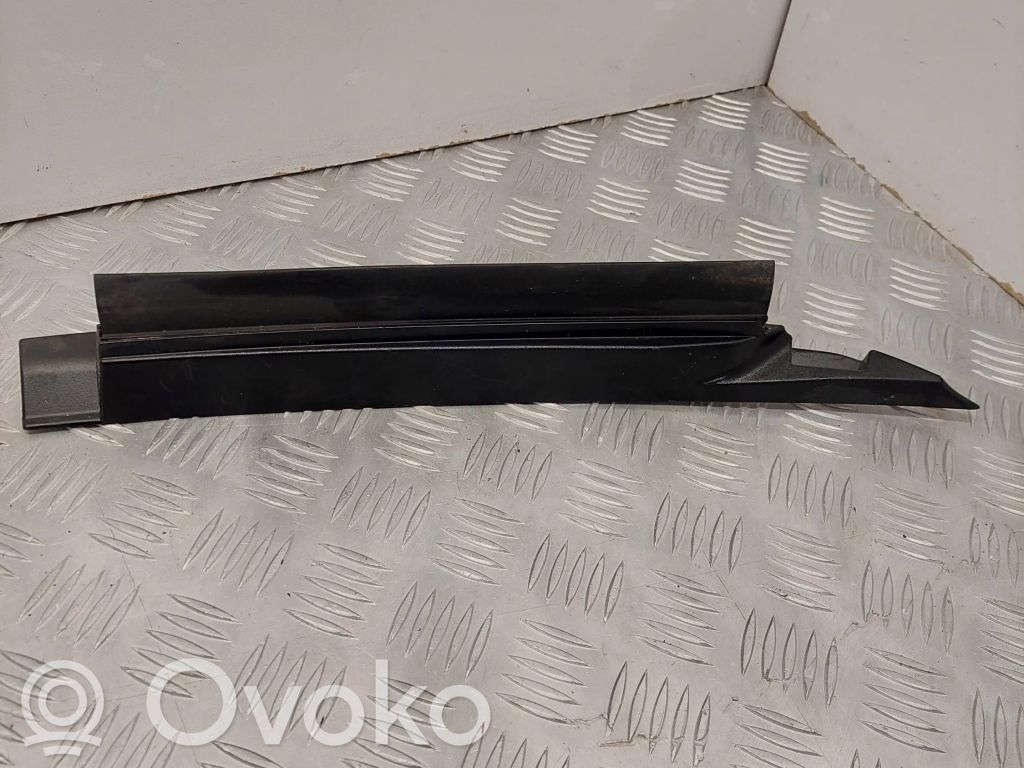 Tesla Model 3 Valytuvų apdaila (-os) 