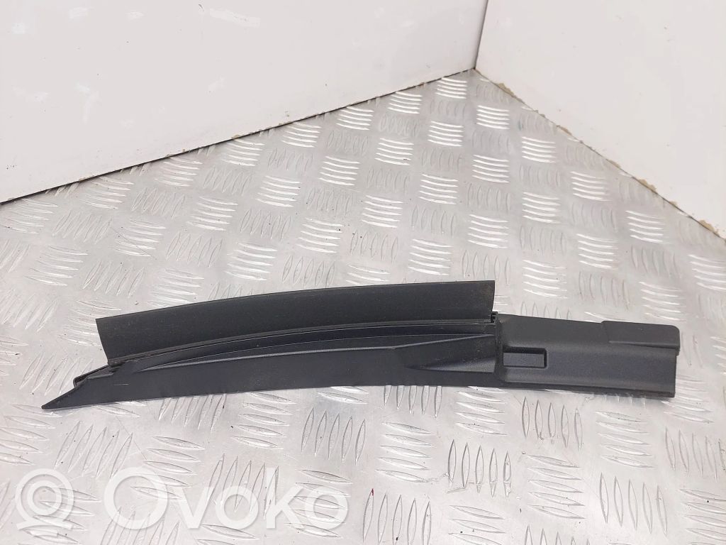 Tesla Model 3 Valytuvų apdaila (-os) 