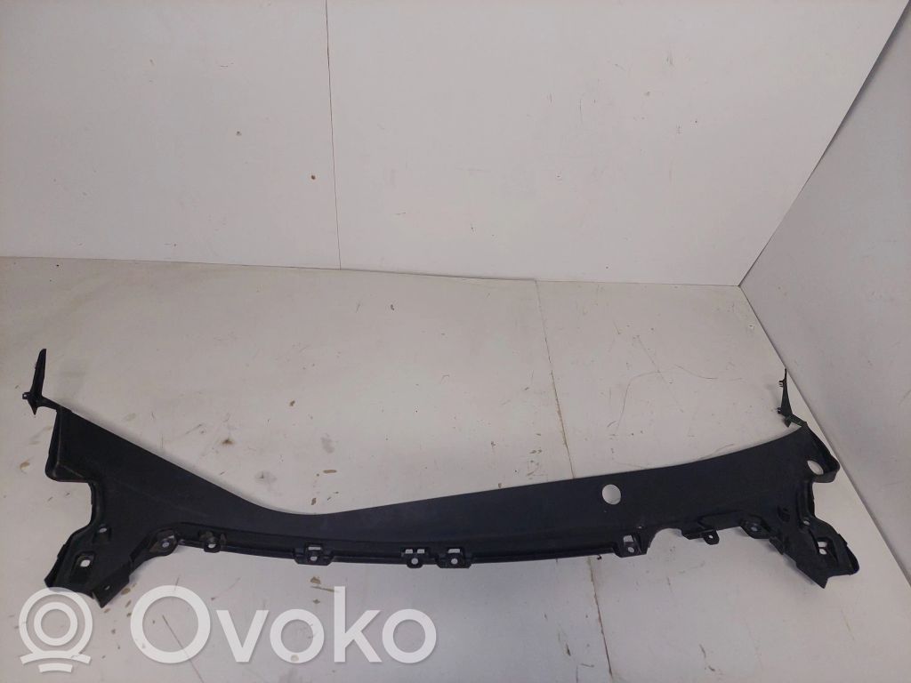 Tesla Model 3 Valytuvų apdaila (-os) 