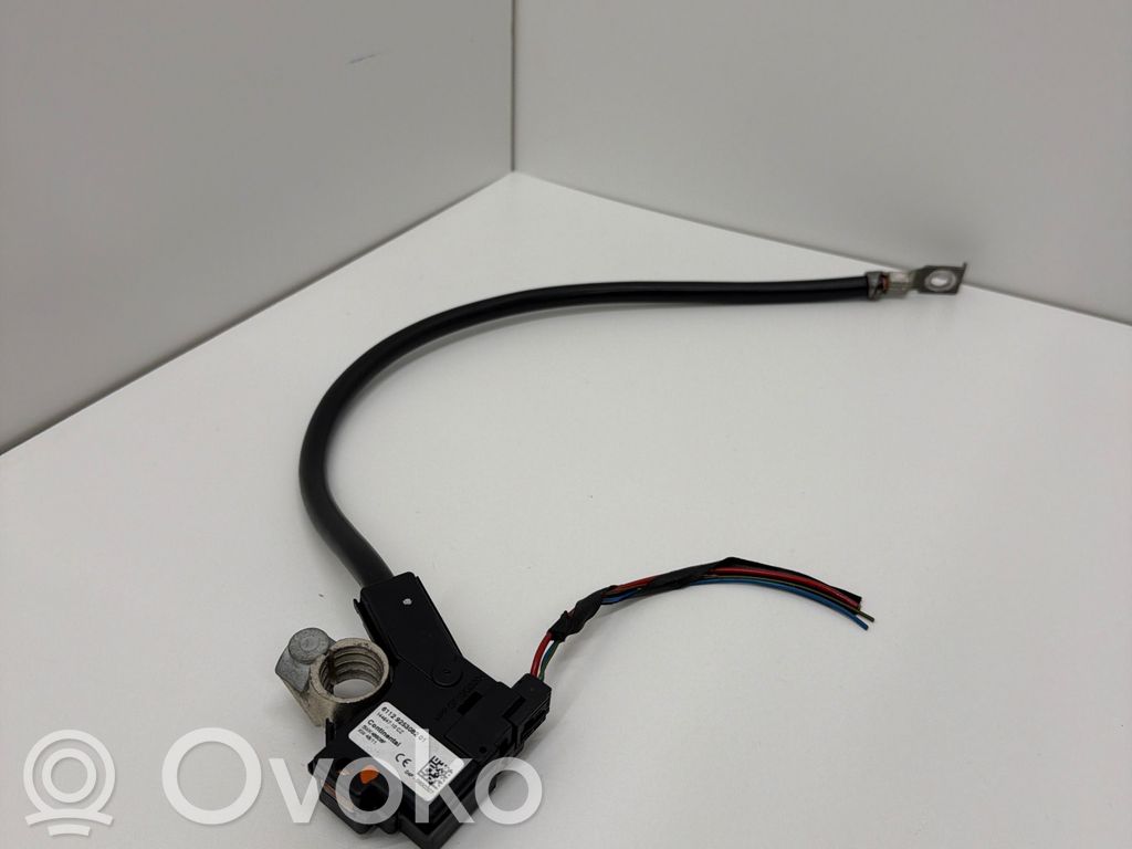 BMW 5 F10 F11 Cavo negativo messa a terra (batteria) 