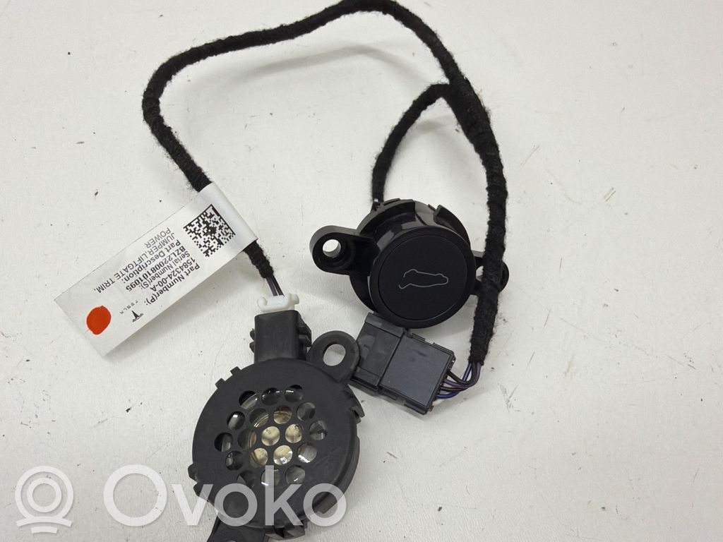 Tesla Model 3 Tailgate/trunk wiring harness 