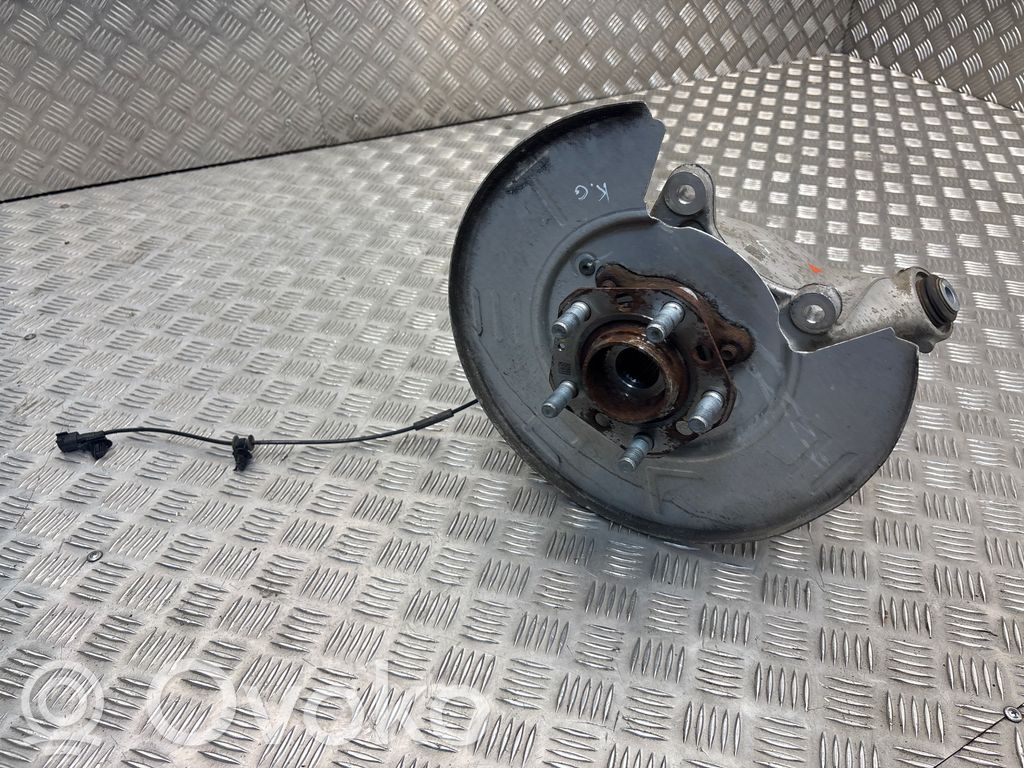Radnabe Hinterrad   118841100,5280370002010