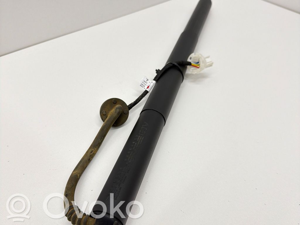 Tesla Model Y Tailgate/trunk strut/damper 