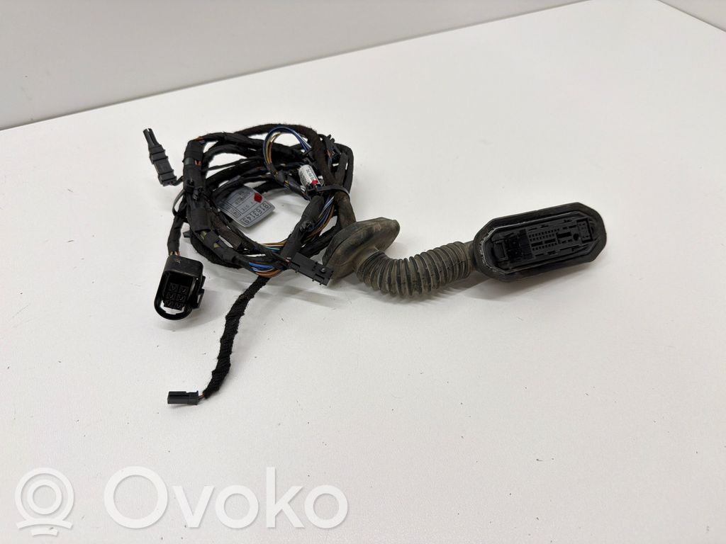 Cableado de puerta trasera   9163149,14206010