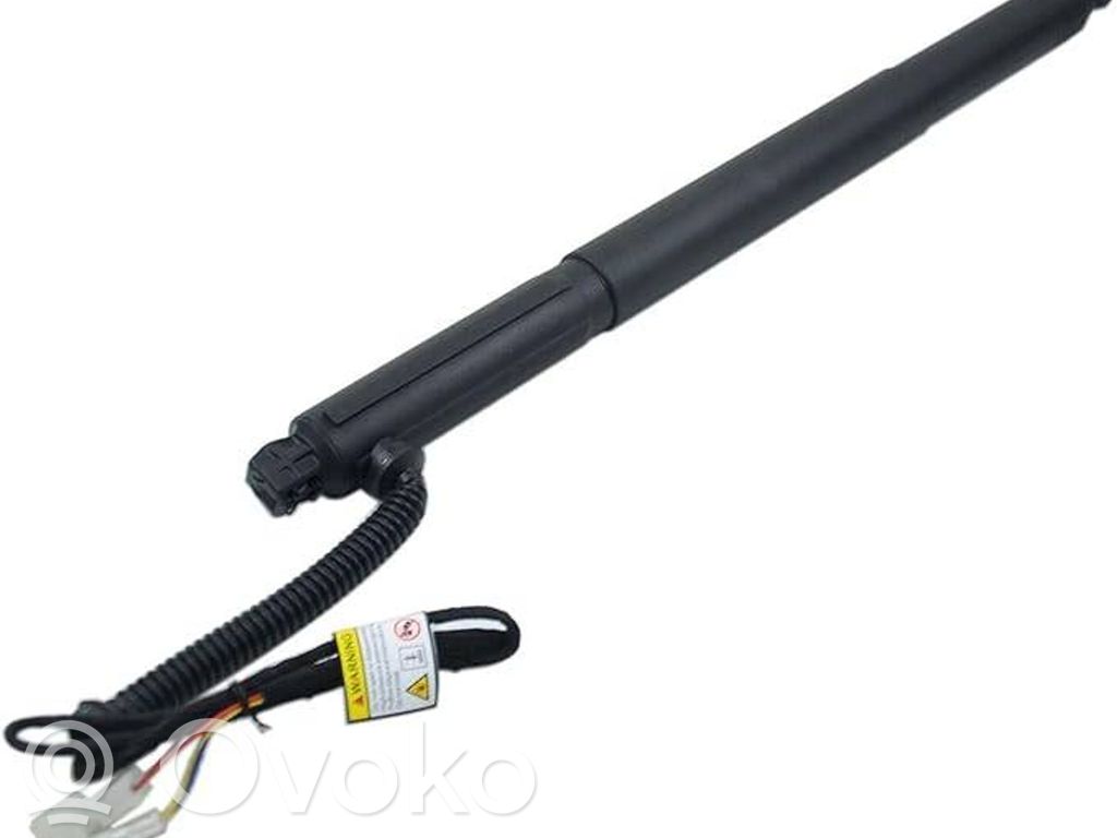BMW X6 E71 Tailgate/trunk strut/damper 