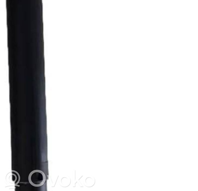 BMW X6 E71 Tailgate/trunk strut/damper 