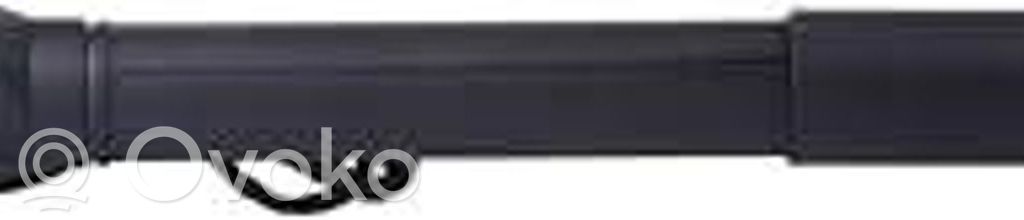 BMW X5 E70 Tailgate/trunk strut/damper 