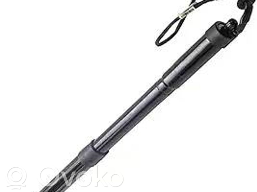 Ford Grand C-MAX Tailgate/trunk strut/damper 