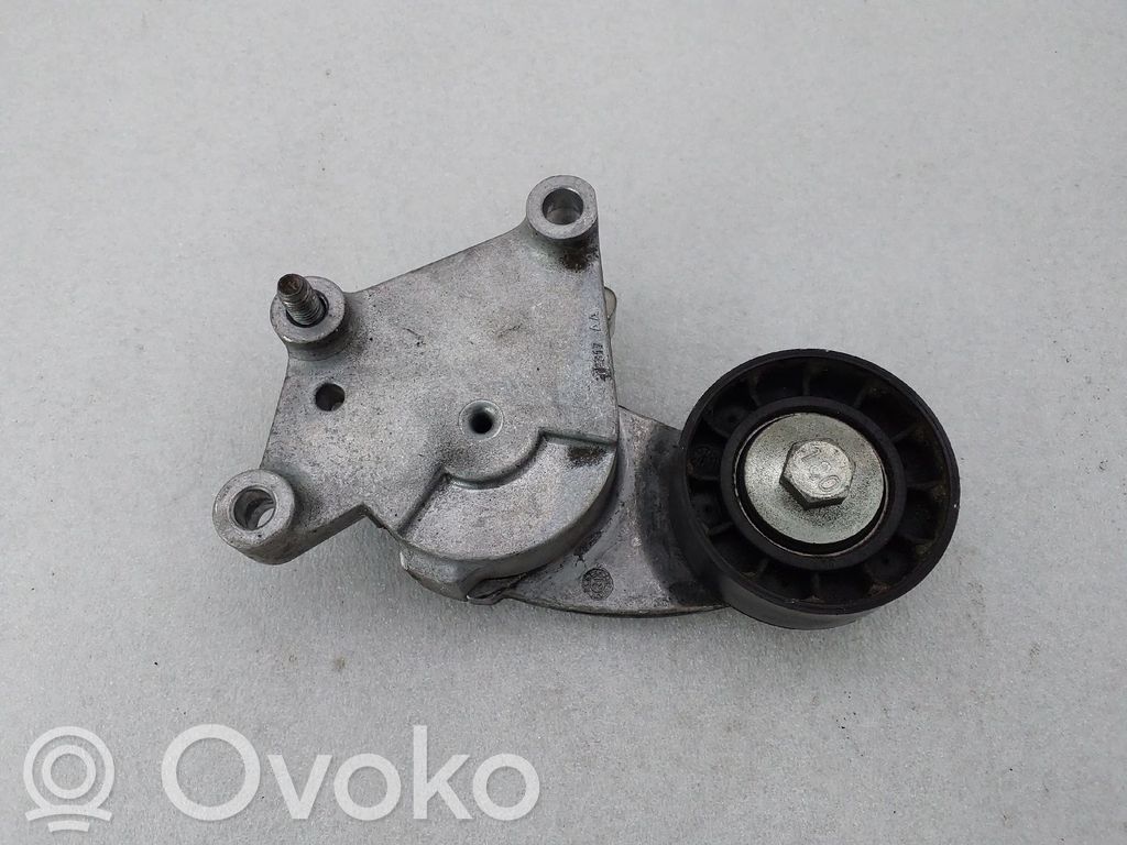Tensor de correa del alternador   TF317AA,DAYCO