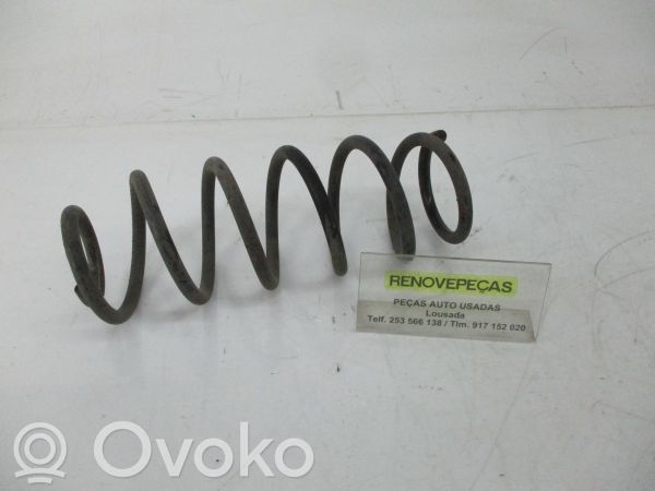 Rear coil spring