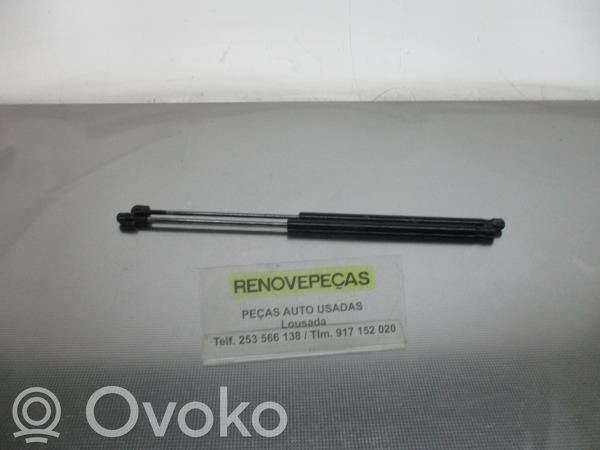 Tailgate/trunk strut/damper