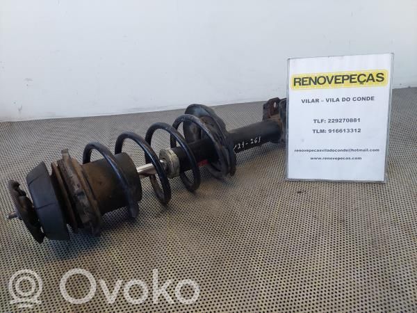 Stoßdämpfer vorne   333756