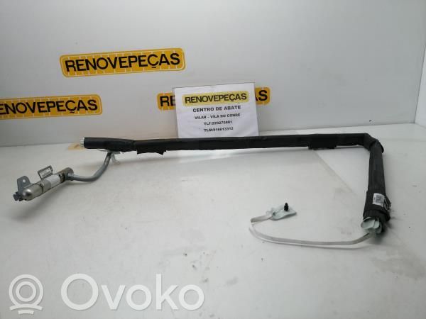 Airbag del techo   8200558122