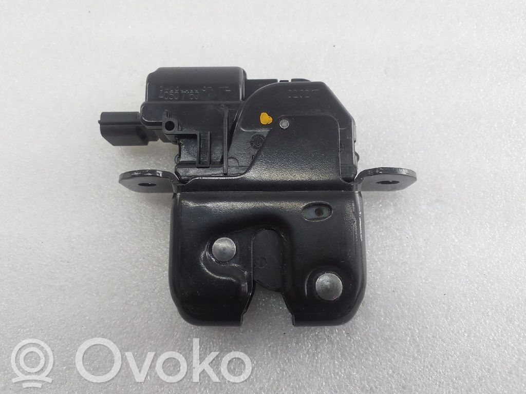 Tailgate exterior lock   846300003R