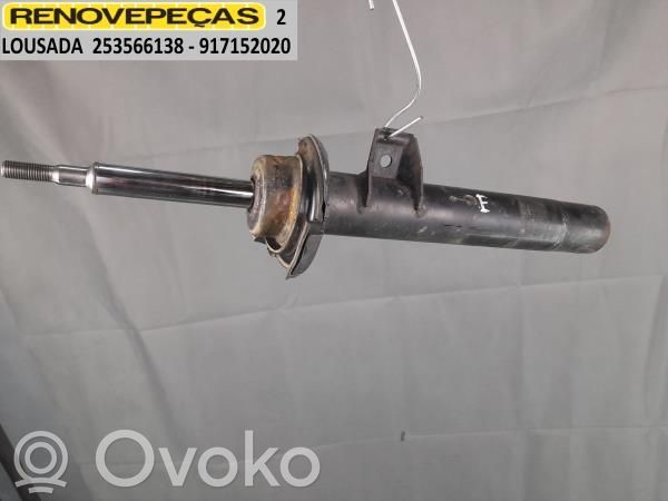 Front shock absorber/damper   6796155