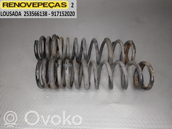 Rear coil spring