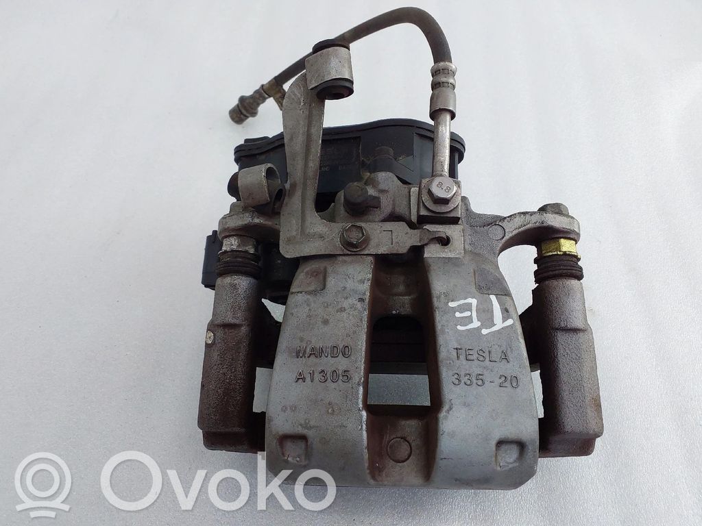 Takajarrusatula   104462700A