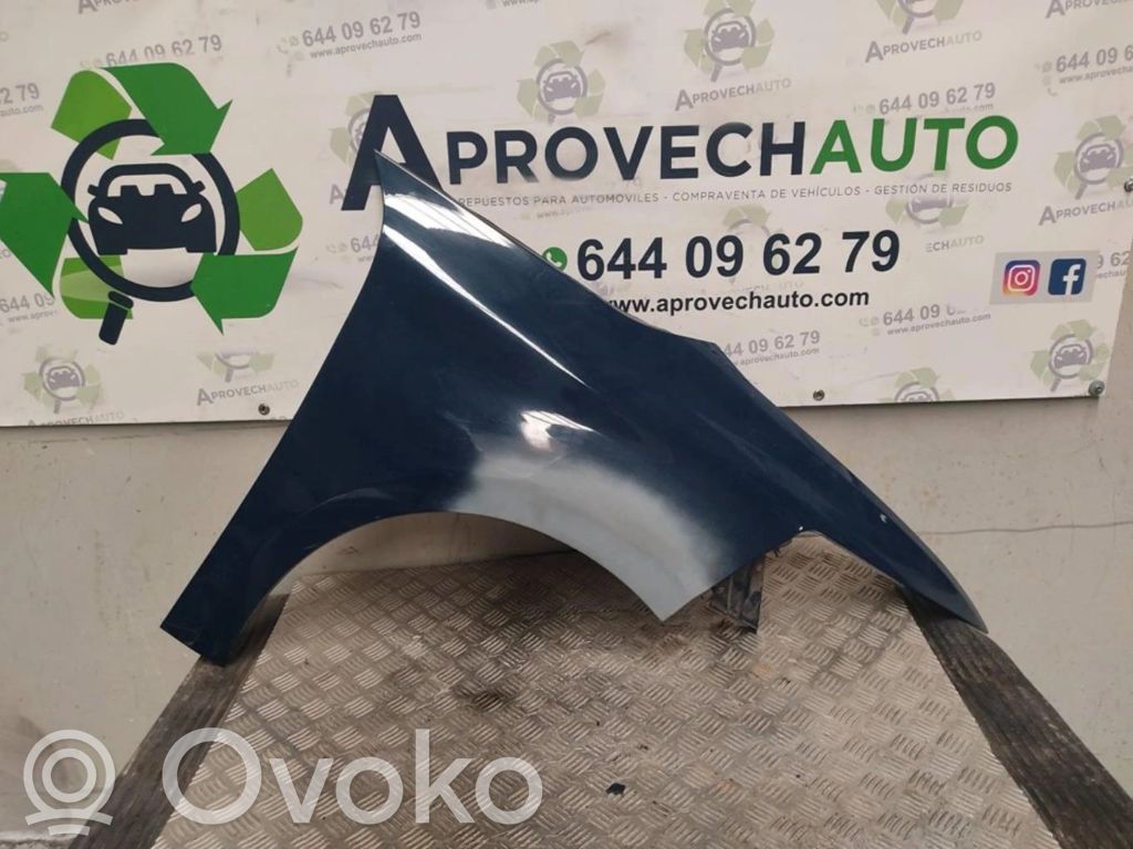 Citroen C4 I Picasso Priekinė arka 