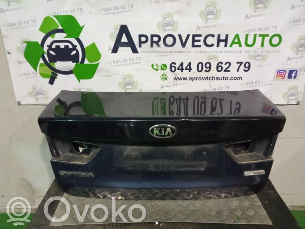 KIA Optima Dangtelis galinių durų rankenos 