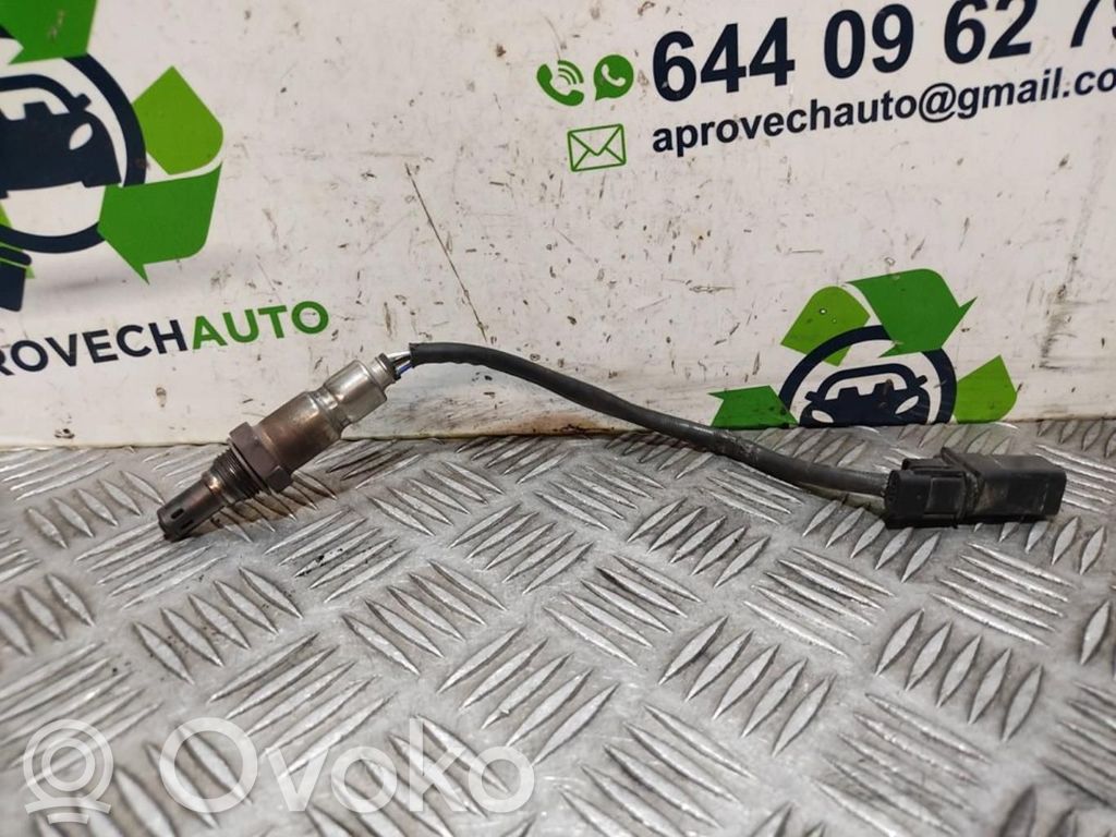 Sonda lambda   55579925