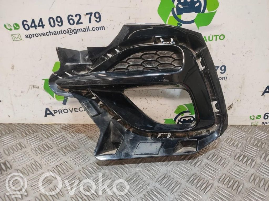 Front grill   10694868