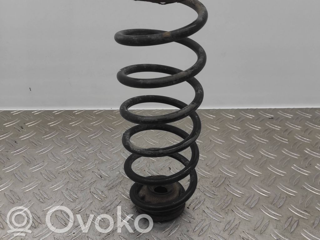 Rear coil spring