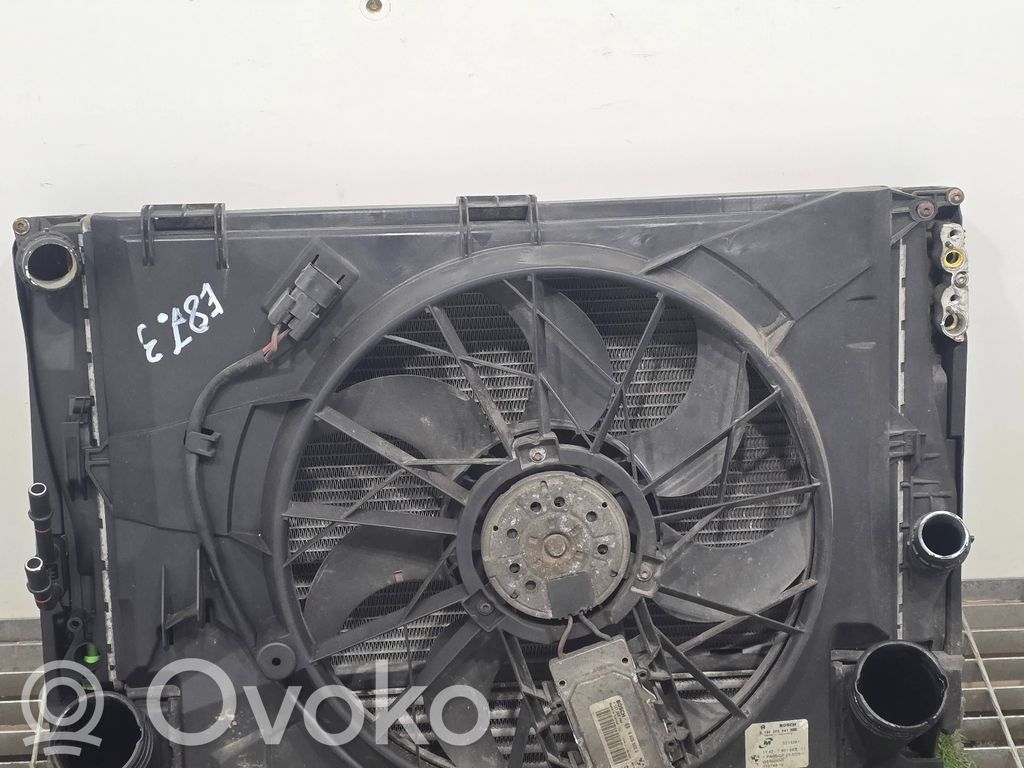 Radiator set   0130303941,11074810,3213261,7801993