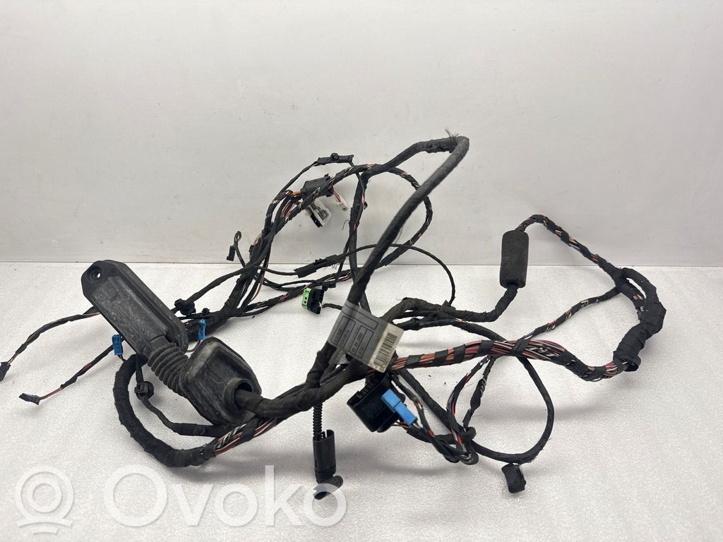 BMW 7 F01 F02 F03 F04 Cablaj ușă față 