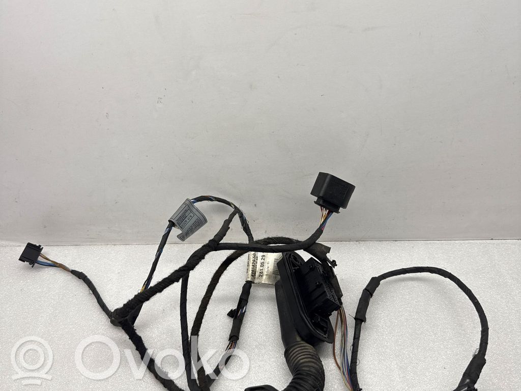 Cableado de puerta trasera   9163052,21072009,ED29W