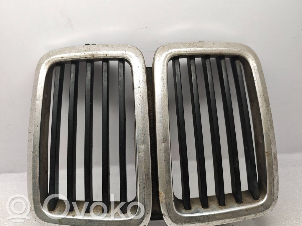 Front grill   1873253
