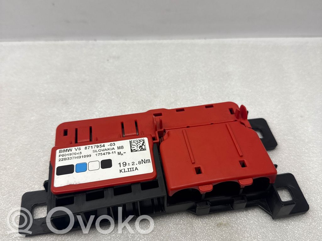 BMW X5 G05 Positive wiring loom 