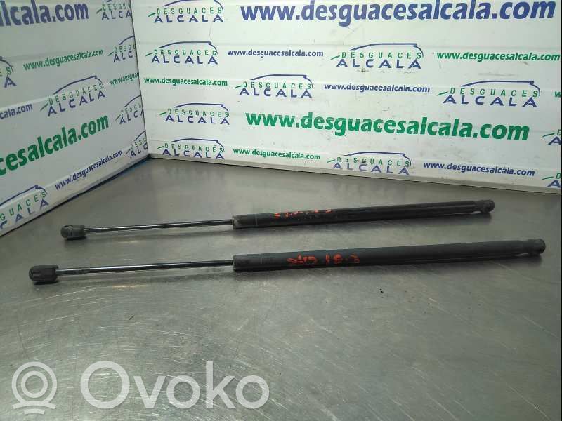 Ford Fiesta Tailgate/trunk strut/damper 