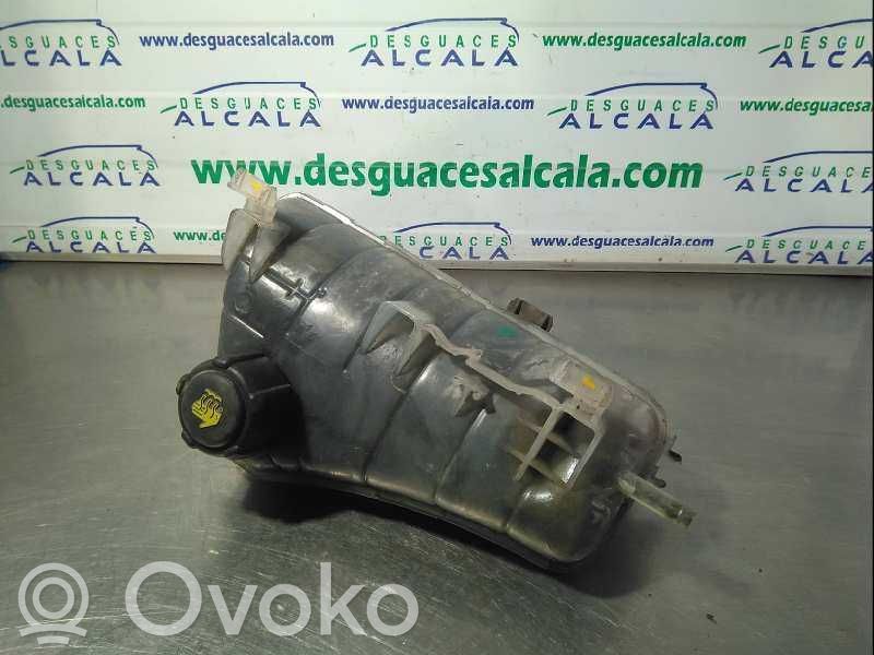 Renault Kangoo I Vaso di espansione carburante