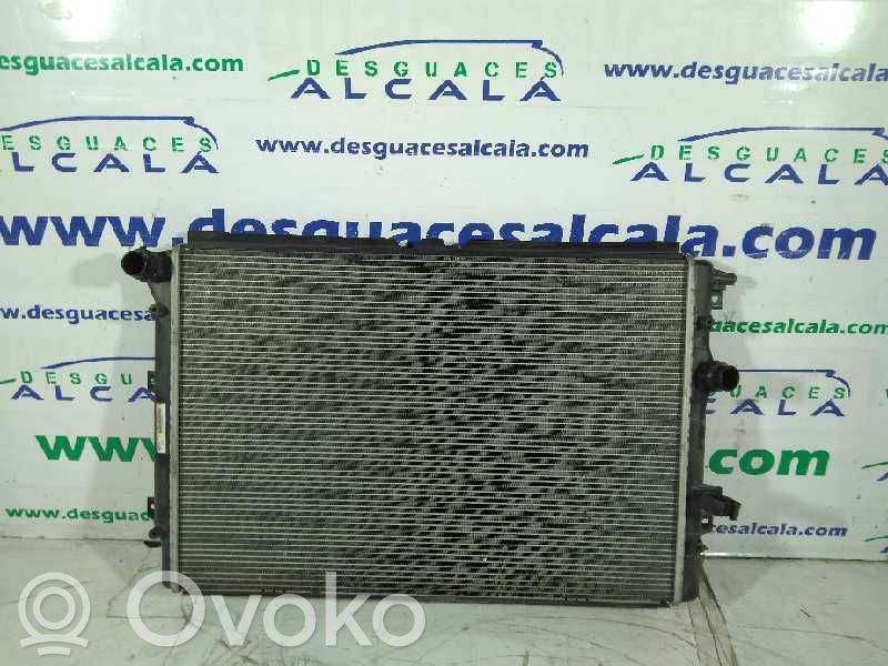 Volkswagen Tiguan Radiator lichid răcire 