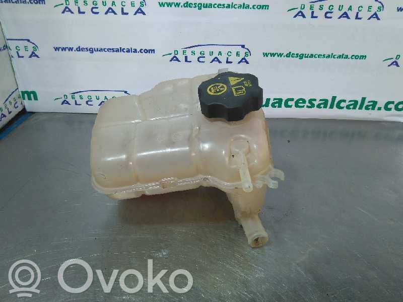 Vas expansiune combustibil   1304005