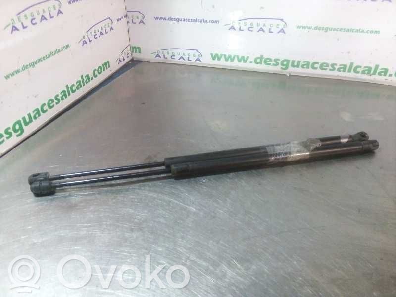 Toyota Corolla Verso E121 Ammortizzatore portellone posteriore/bagagliaio 