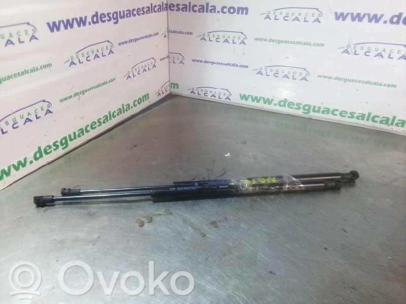 Mazda CX-3 Tailgate/trunk strut/damper 