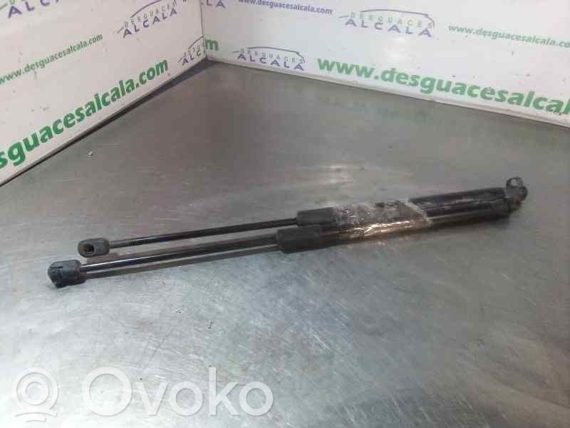 Renault Megane III Tailgate/trunk strut/damper 