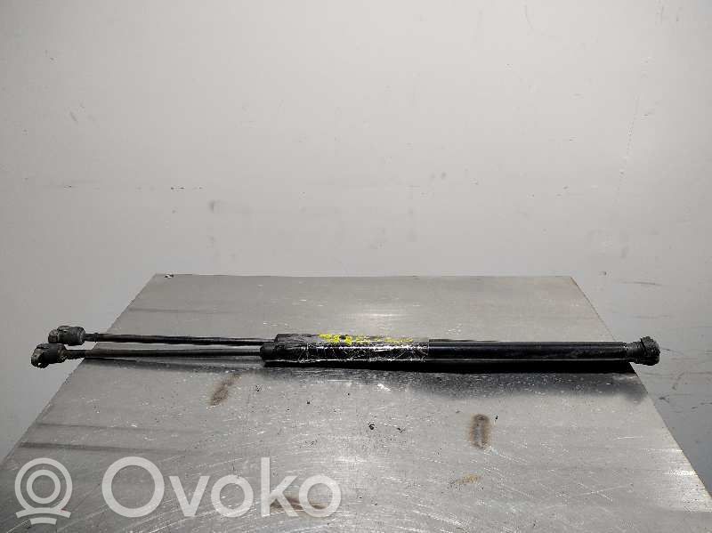 Citroen C4 II Tailgate/trunk strut/damper 