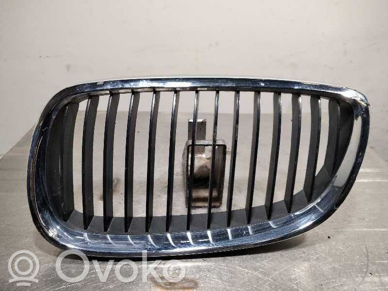 BMW 3 E90 E91 Grotelės sparne 