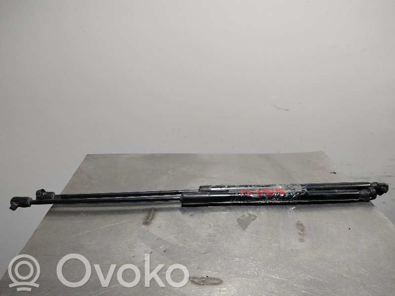 Ford Fiesta Tailgate/trunk strut/damper 